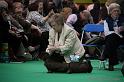 Crufts2011_2 979